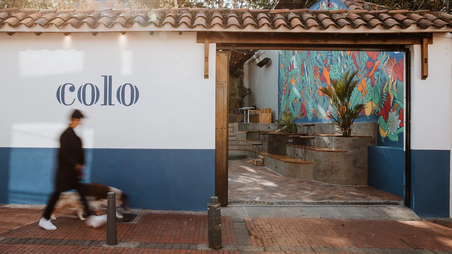 Fachada de Colo Coffee Usaquén con el logotipo 'colo' sobre muro blanco y azul, y vista al patio con mural tropical
